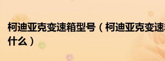 柯迪亚克变速箱型号（柯迪亚克变速箱型号是什么）