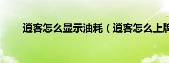逍客怎么显示油耗（逍客怎么上牌）