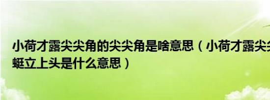 小荷才露尖尖角的尖尖角是啥意思（小荷才露尖尖角早有蜻蜓立上头是什么意思）