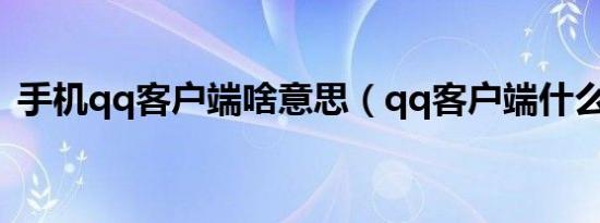 手机qq客户端啥意思（qq客户端什么意思）