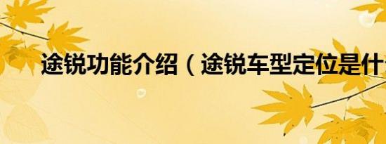 途锐功能介绍（途锐车型定位是什么）