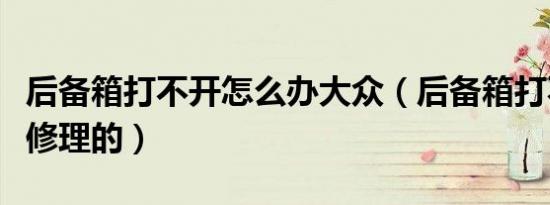 后备箱打不开怎么办大众（后备箱打不开怎么修理的）