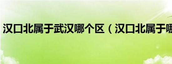 汉口北属于武汉哪个区（汉口北属于哪个区）