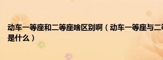 动车一等座和二等座啥区别啊（动车一等座与二等座的区别是什么）