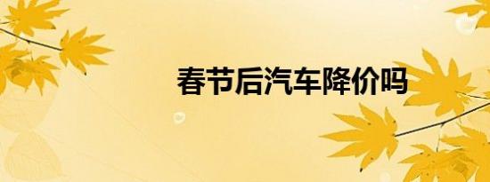 春节后汽车降价吗