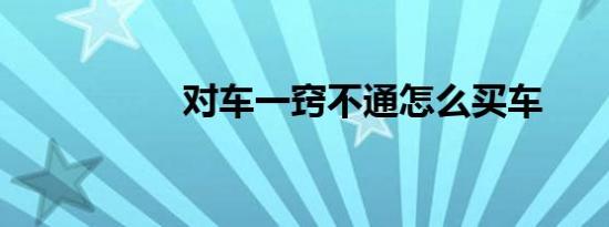 对车一窍不通怎么买车