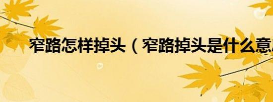 窄路怎样掉头（窄路掉头是什么意思）