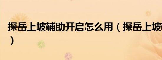 探岳上坡辅助开启怎么用（探岳上坡辅助在哪）