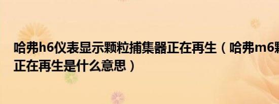 哈弗h6仪表显示颗粒捕集器正在再生（哈弗m6颗粒捕集器正在再生是什么意思）