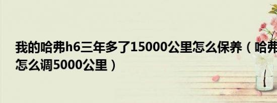 我的哈弗h6三年多了15000公里怎么保养（哈弗h6保养后怎么调5000公里）