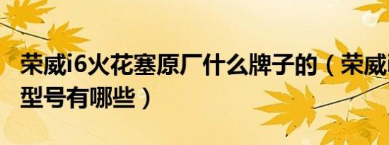 荣威i6火花塞原厂什么牌子的（荣威i6火花塞型号有哪些）