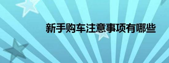新手购车注意事项有哪些
