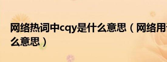 网络热词中cqy是什么意思（网络用语cqy什么意思）