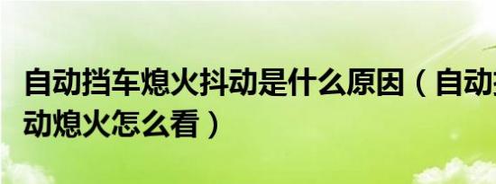 自动挡车熄火抖动是什么原因（自动挡怠速抖动熄火怎么看）