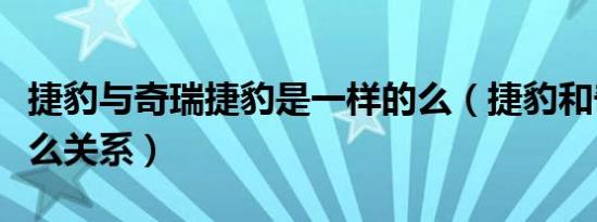 捷豹与奇瑞捷豹是一样的么（捷豹和奇瑞是什么关系）