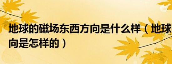 地球的磁场东西方向是什么样（地球的磁场方向是怎样的）