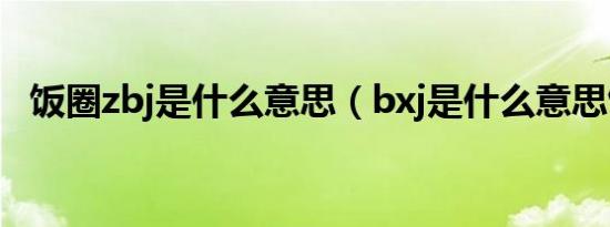 饭圈zbj是什么意思（bxj是什么意思饭圈）