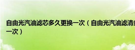 自由光汽油滤芯多久更换一次（自由光汽油滤清多长时间换一次）