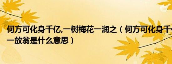 何方可化身千亿,一树梅花一润之（何方可化身千亿一树梅花一放翁是什么意思）