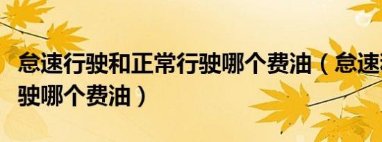 怠速行驶和正常行驶哪个费油（怠速和正常行驶哪个费油）