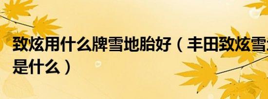 致炫用什么牌雪地胎好（丰田致炫雪地胎型号是什么）