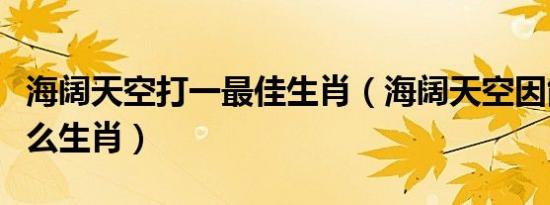 海阔天空打一最佳生肖（海阔天空因能让是什么生肖）