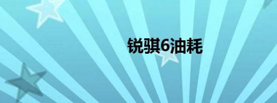 锐骐6油耗