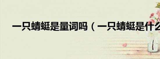 一只蜻蜓是量词吗（一只蜻蜓是什么车）