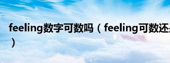 feeling数字可数吗（feeling可数还是不可数）