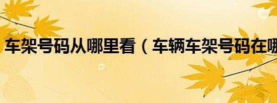 车架号码从哪里看（车辆车架号码在哪里看）