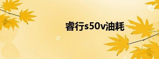 睿行s50v油耗