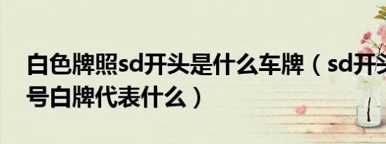 白色牌照sd开头是什么车牌（sd开头的车牌号白牌代表什么）