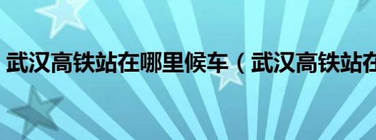 武汉高铁站在哪里候车（武汉高铁站在哪里）