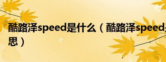 酷路泽speed是什么（酷路泽speed是什么意思）