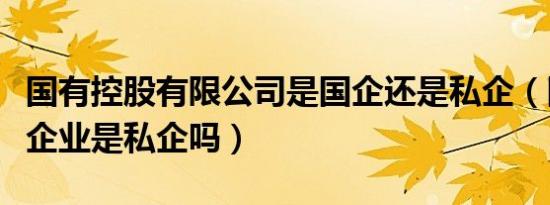 国有控股有限公司是国企还是私企（国有控股企业是私企吗）