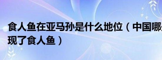 食人鱼在亚马孙是什么地位（中国哪些省份发现了食人鱼）