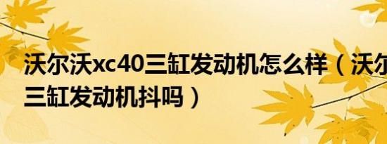 沃尔沃xc40三缸发动机怎么样（沃尔沃xc40三缸发动机抖吗）