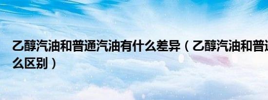 乙醇汽油和普通汽油有什么差异（乙醇汽油和普通汽油有什么区别）
