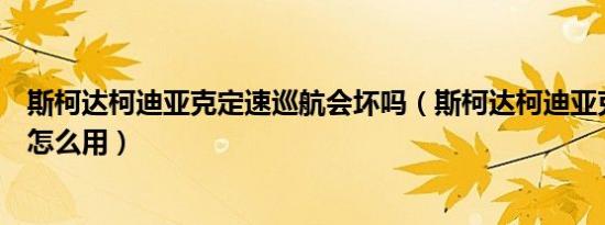 斯柯达柯迪亚克定速巡航会坏吗（斯柯达柯迪亚克定速巡航怎么用）