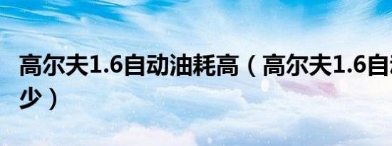 高尔夫1.6自动油耗高（高尔夫1.6自动油耗多少）