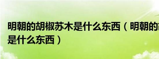 明朝的胡椒苏木是什么东西（明朝的胡椒苏木是什么东西）