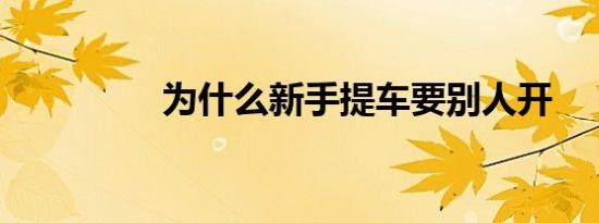 为什么新手提车要别人开