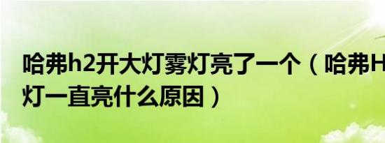 哈弗h2开大灯雾灯亮了一个（哈弗H2后备箱灯一直亮什么原因）