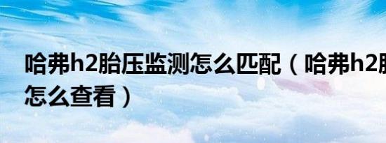 哈弗h2胎压监测怎么匹配（哈弗h2胎压监测怎么查看）