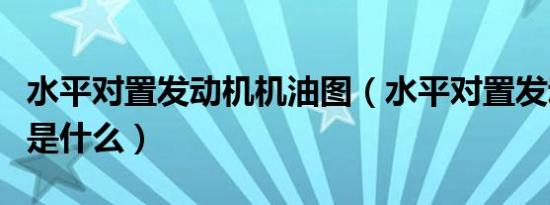 水平对置发动机机油图（水平对置发动机机油是什么）