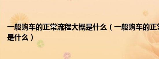 一般购车的正常流程大概是什么（一般购车的正常流程大概是什么）