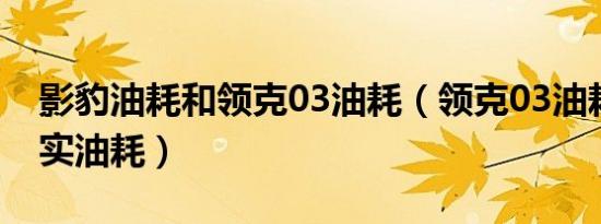 影豹油耗和领克03油耗（领克03油耗多少真实油耗）