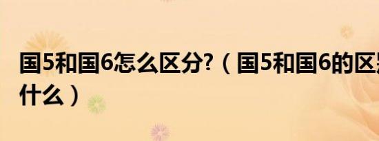 国5和国6怎么区分?（国5和国6的区别意思是什么）