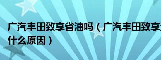 广汽丰田致享省油吗（广汽丰田致享油耗高是什么原因）