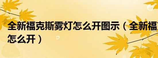 全新福克斯雾灯怎么开图示（全新福克斯雾灯怎么开）